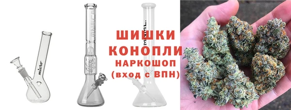 хмурый Абаза