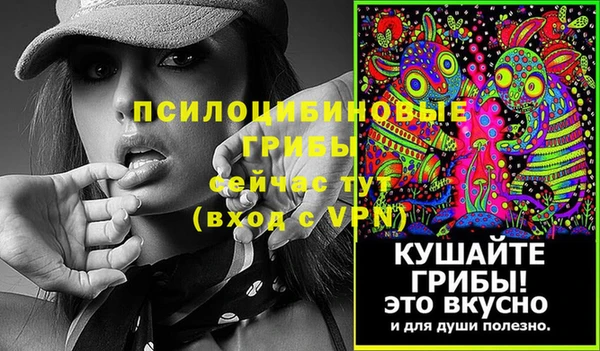 гашик Алексеевка