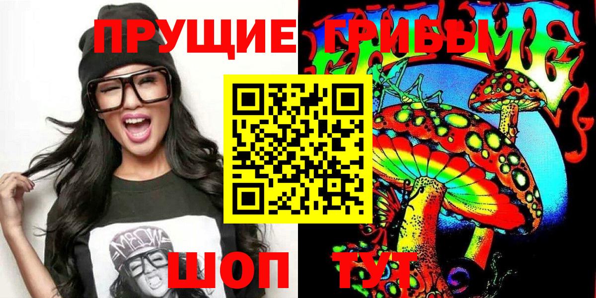 Югорск  Галлюциногенные грибы Psilocybine cubensis  Вход с VPN 