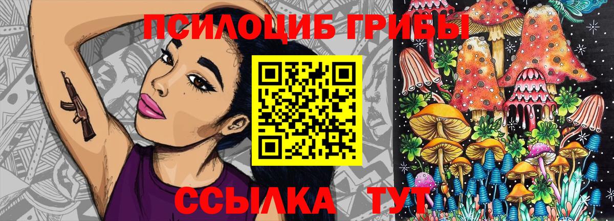 Псилоцибиновые грибы Psilocybine cubensis Югорск